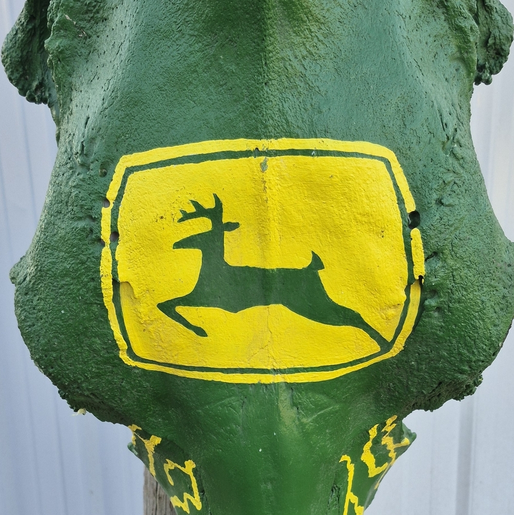 John Deere Cow Skull